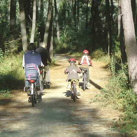 Appartement Résidence Orphé A *