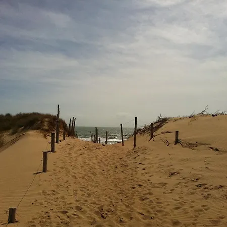 Appartement Résidence Orphé A *