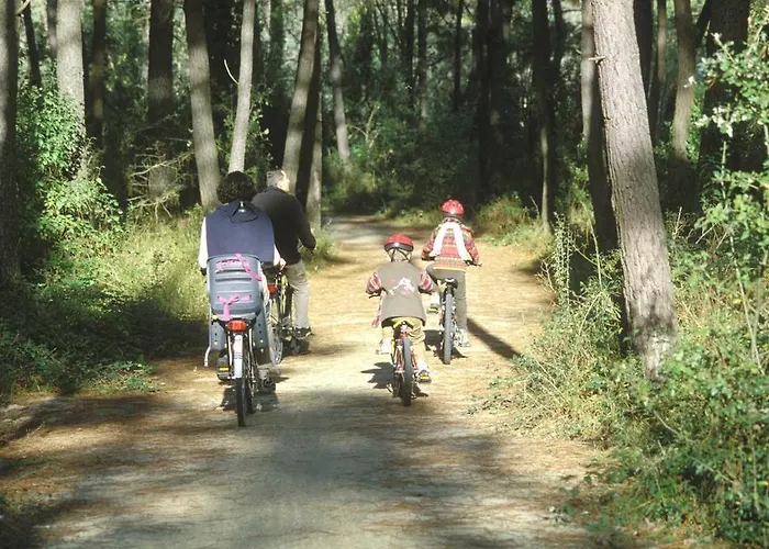 Appartement Orphe A *