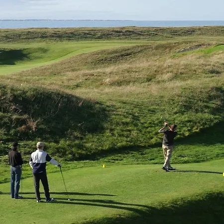 Orphe A Daire Saint-Jean-de-Monts